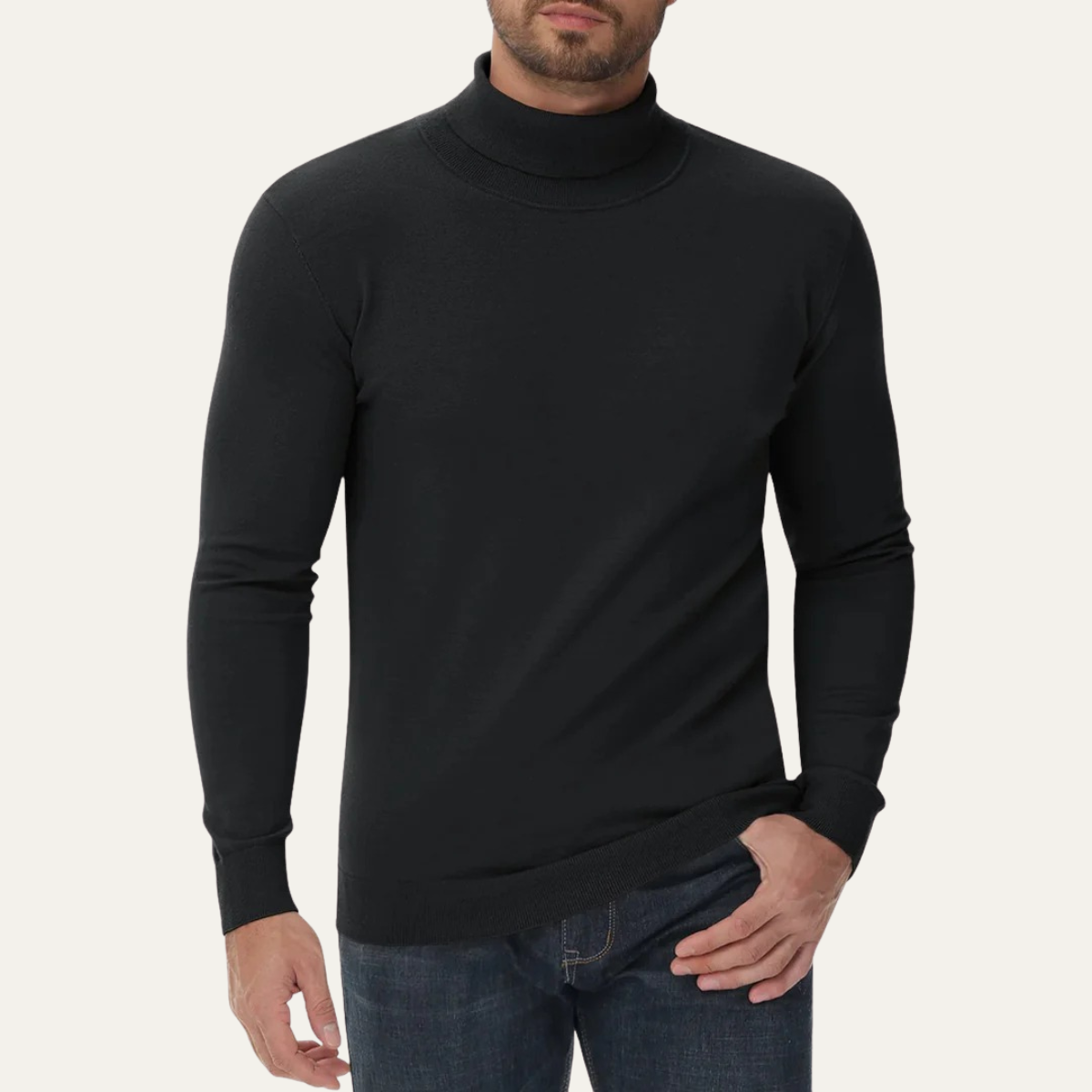 Men's Slim Fit Cotton Classic Turtleneck Jumper