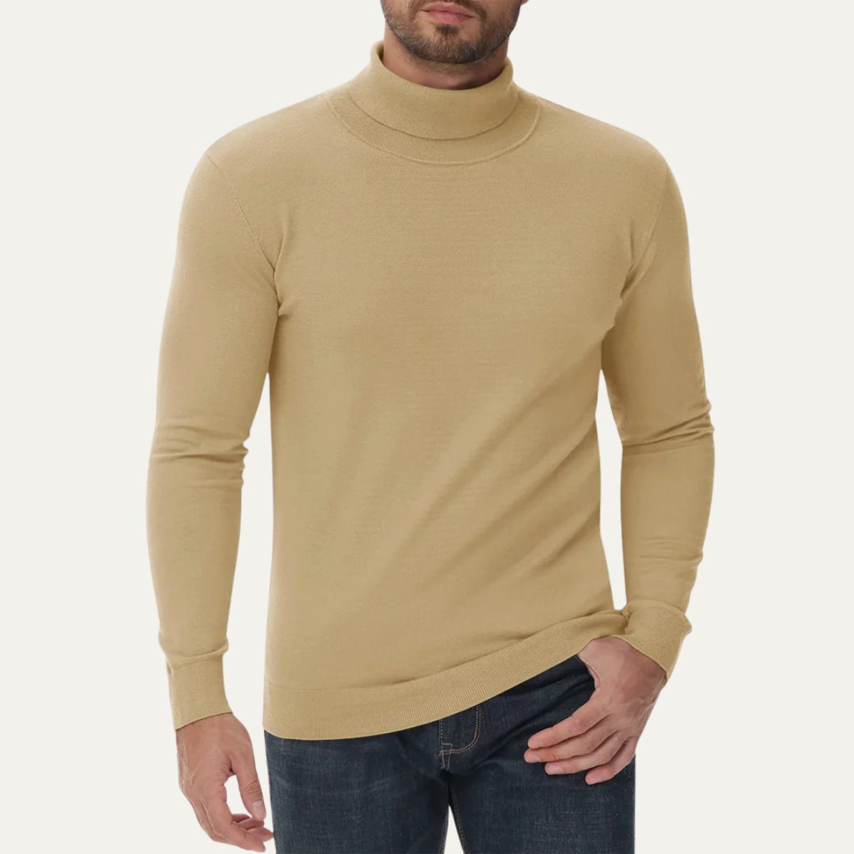 Men's Slim Fit Cotton Classic Turtleneck Jumper