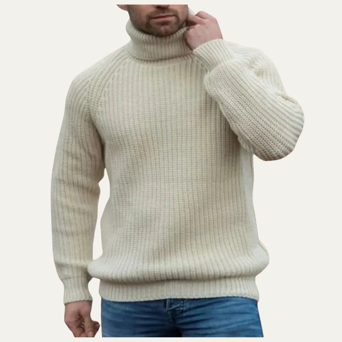 Dundee Men's Cozy Chunky Turtleneck Sweater