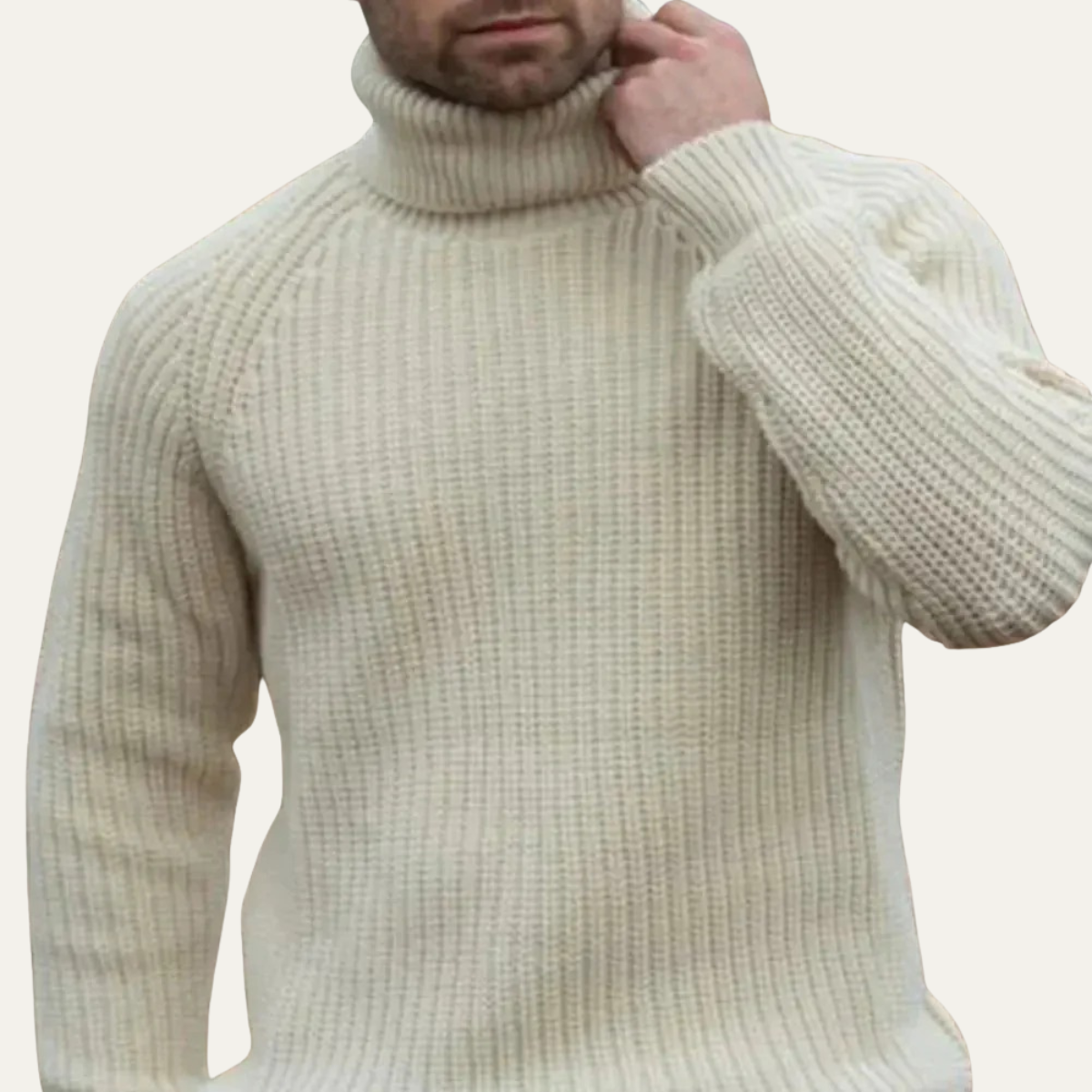 Dundee Men's Cozy Chunky Turtleneck Sweater
